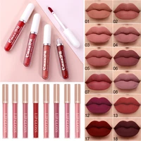 2pcsset waterproof velvet matte lipsticks lip gloss mosturizing long lasting pencil makeup cosmetics lip tint pen for women