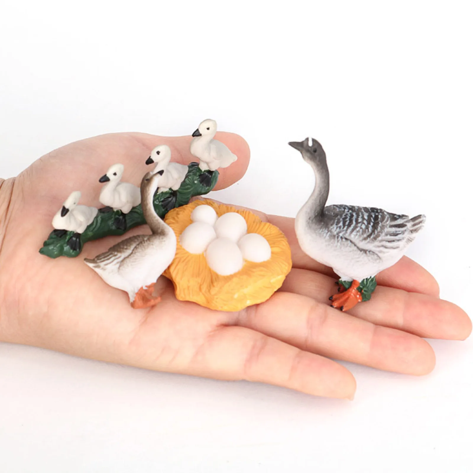 

Four Stage Animal Growth Cycle Model Life Cycle of Goose Education Biology Toys