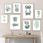 Морская жизнь, краб, морская черепаха, коралл, ископаемые настенные картины на холсте, скандинавские постеры и принты, настенные картины для декора гостиной