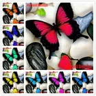 Набор для алмазной вышивки бабочка, 5d мозаика с мотивами животных, полный набор для алмазной вышивки, 2020