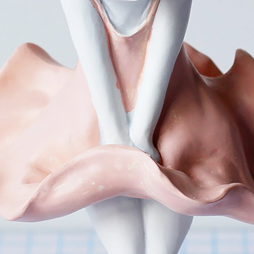 

2PCS Home Decoration Accessories Resin Lovely Cat Figurine Model Craft Ornament For Home Office Christmas Decorations For Home