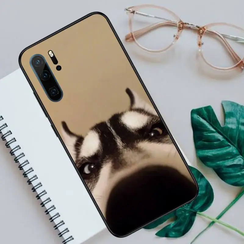 

Husky dog cute Phone Case For Huawei honor Mate P 9 10 20 30 40 Pro 10i 7 8 a x Lite nova 5t