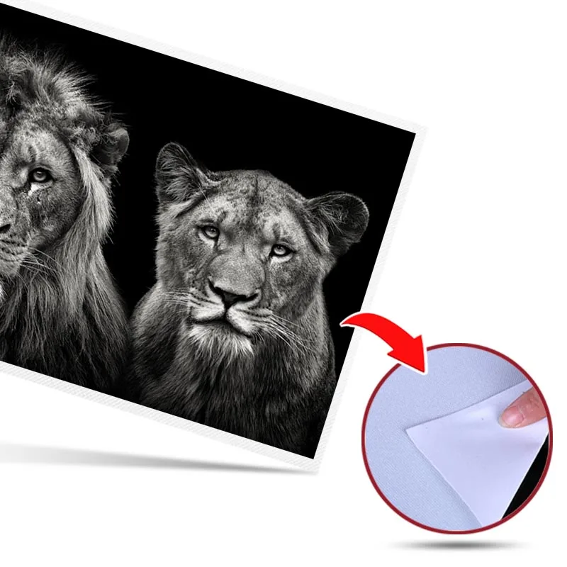 

Modern 2 Lions Love Wall Art Canvas Painting Picture Poster and Print Gallery Home Decor