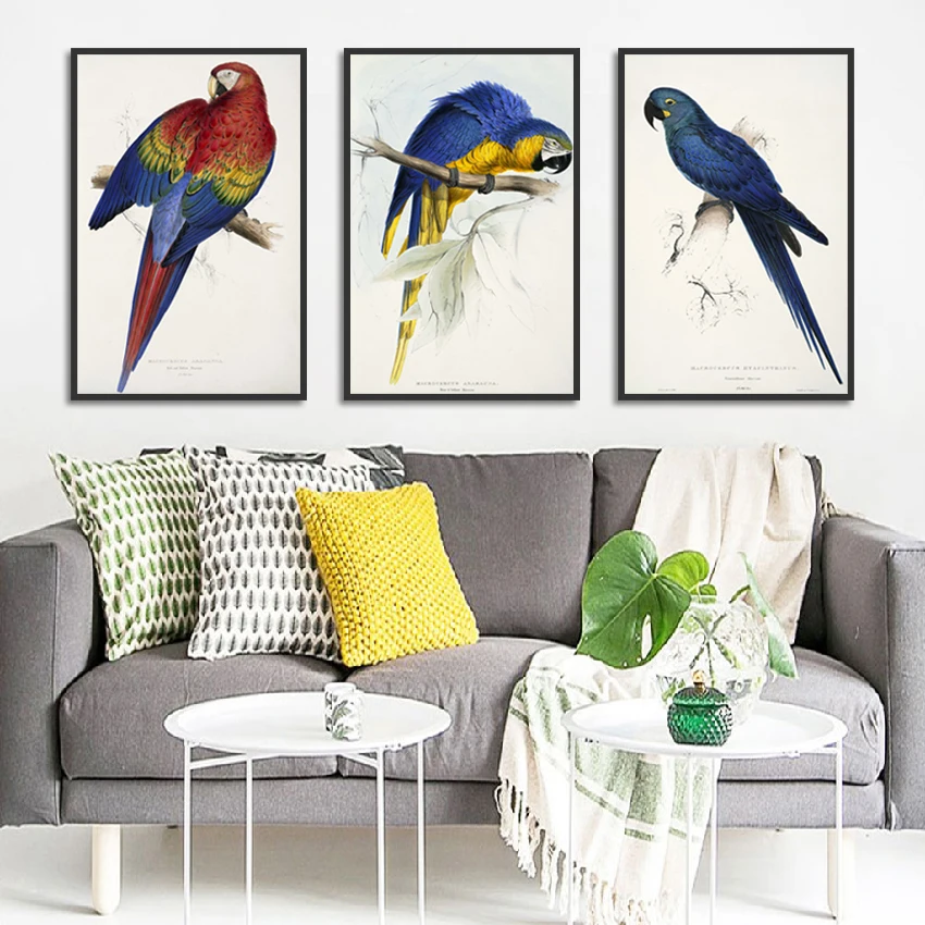 

Colorful Pretty Parrot Modern Minimalist Hanging Wall Art Canvas Paintings For Living Room Concise Style Art Wall Poster Decor