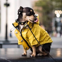 pet dog clothes for small medium dogs waterproof puppy raincoat fashion cool dog jacket coat windproof dogs outfit pet supplie