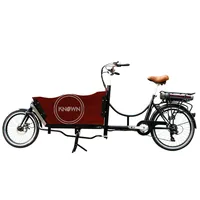 Popular Adult Cargo Bike 2 Wheel Electric Bicycle Cycling for Family Carrying Kids Children Shopping Cart