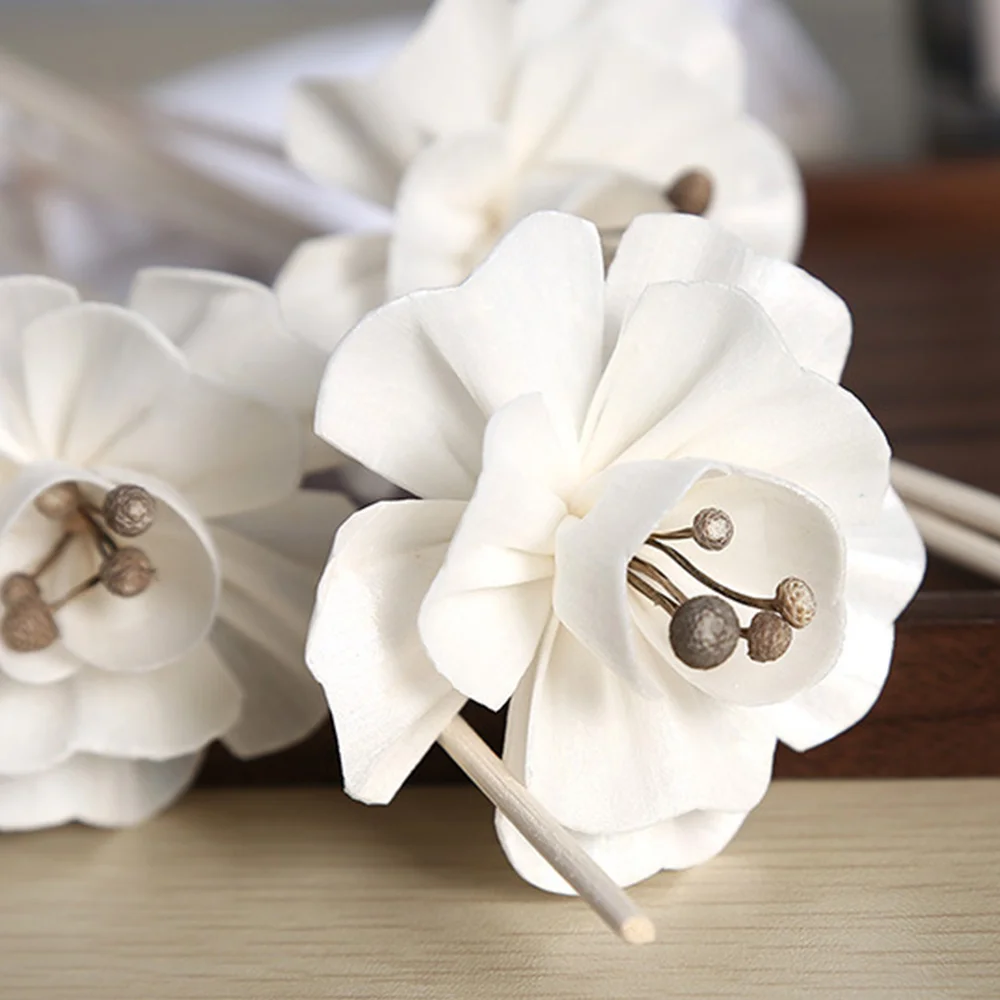 5 шт. лоза Цветочная веточка Духи диффузор палочки волнистые Ротанговые бердовые