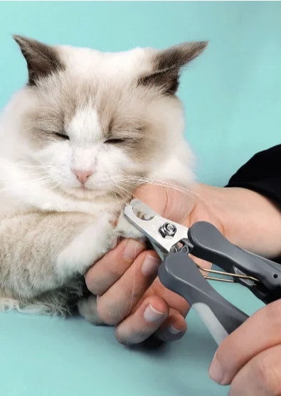 

Professional Pet Dog Puppy Nail Clippers Toe Claw Scissors Trimmer Pet Grooming Products For Small Dogs Cats Puppy Claw shears