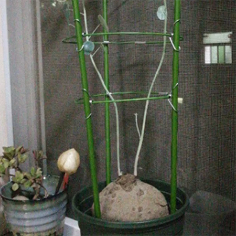 

Climbing Vine Rack Plant Potted Support Frame Plastic Coated Steel Flower Vegetables Decorative Trellis Bracket Home Garden