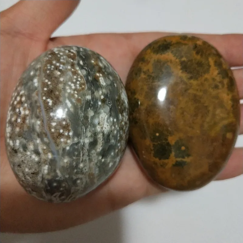 Натуральные камни морская яшма пальмовые камни игрушки маленькие камни и кристаллы целебный кристалл