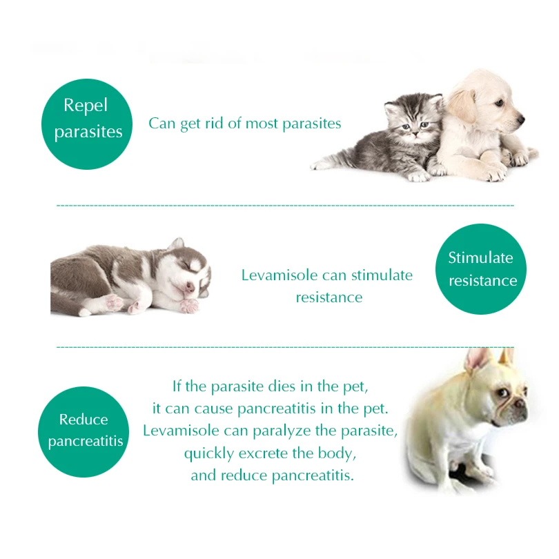 CHZK антигельминтическое тело для домашних животных кошек кишечника