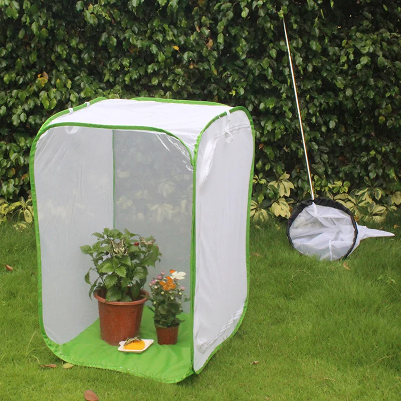 Набор для насекомых бабочек оригинальный набор обучения естественным наукам