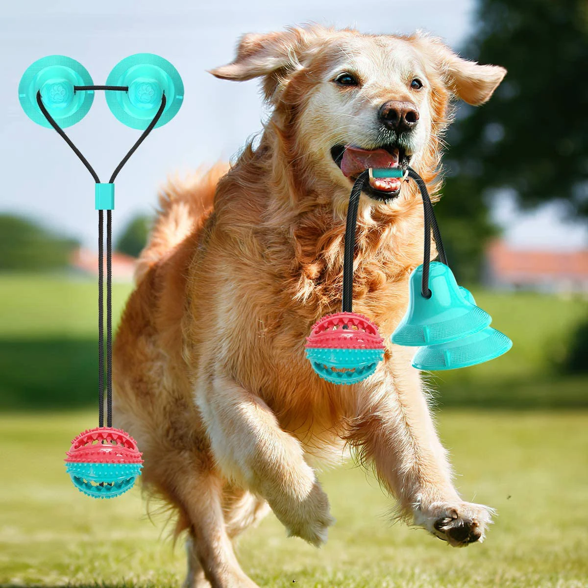 

Dog Chew Toy Dog Rope Double Suction Cup Ball Interactive Puppy Teething Chew Toys Pet Toothbrush Bell Toy Food Dispensing