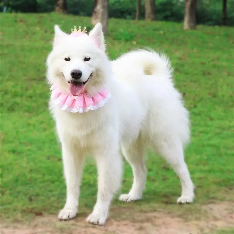 

Pet Cosplay Accessaries Pet Cat Princess Pet Hat Decorative Cute Crown Lace Pet Headband Pet Costume Hat With Cat Bib Pet Dog