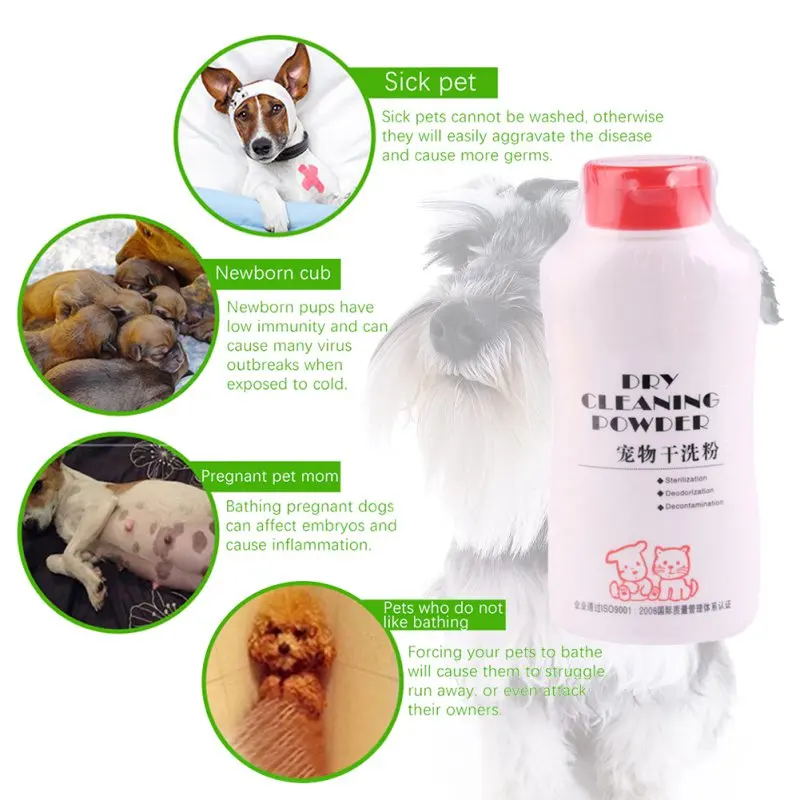 Is It Ok To Bathe A Pregnant Dog