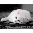 Алмазная 5D картина сделай сам с изображением белого кота, наборы для вышивки крестиком с животными, алмазная вышивка, мозаика, настенное искусство, подарок для детей, домашний декор