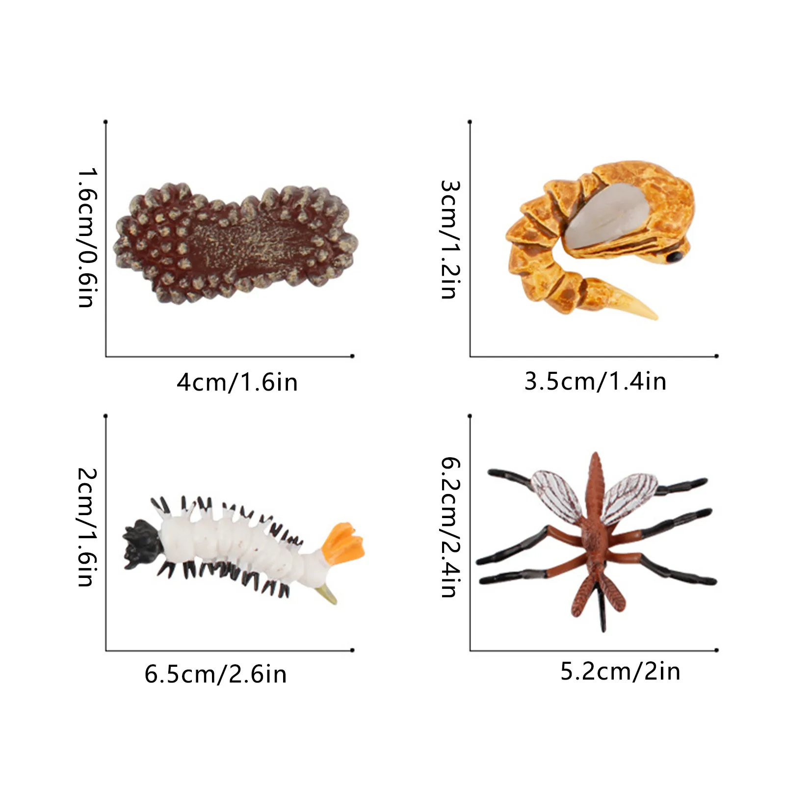 

4-5 Piece Insect Figure Animal Life Cycle Plastic Brood To Mature Period Figure Authentic Model Life Cycle Toys For Kids 2021