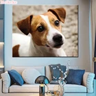 Алмазная вышивка сделай сам Джек Расселл терьер 5d полная квадратная круглая вышивка алмазная живопись вышивка крестиком Картина по номерам рукоделие