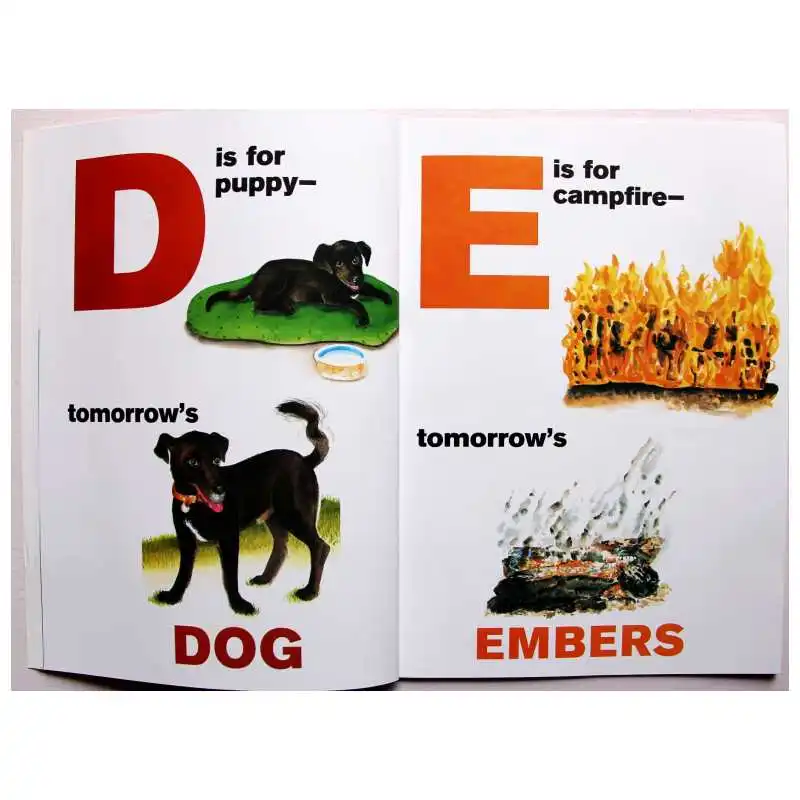 Обучающая книга с алфавитом Джорджа Шеннона на английском языке|Чтение| |