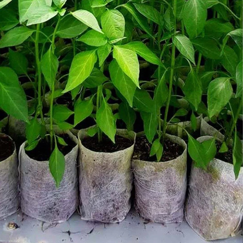 

300Pcs Non-Woven Biodegradable Nursery Bags Plant Grow Bags Fabric Seedling Pots Nursing Raising Growing Bags (20X20Cm/7.8X7.8In