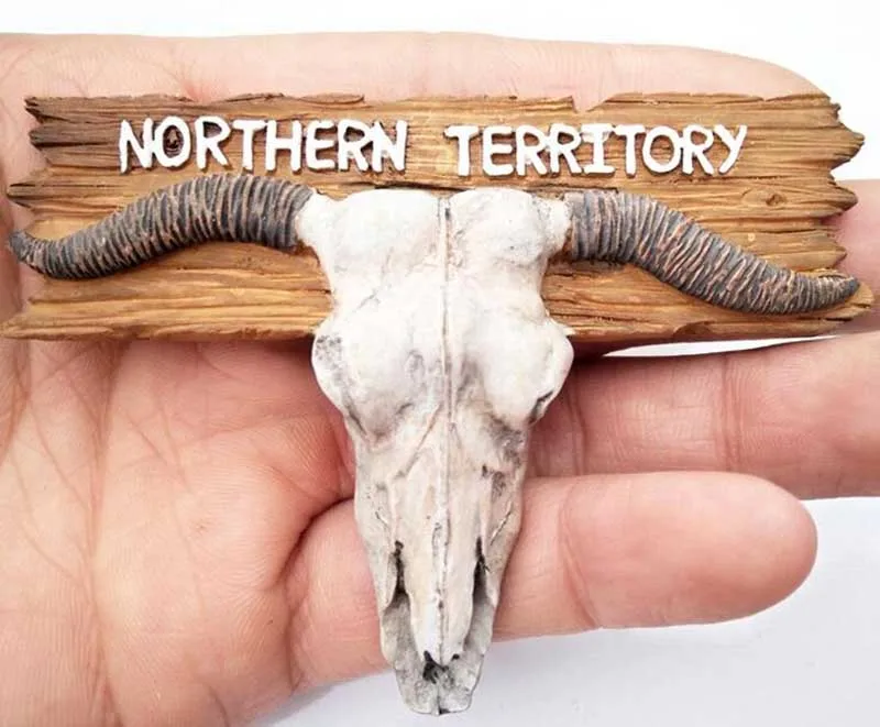 Финская австралийская смола магниты на холодильник сувениры для путешествий