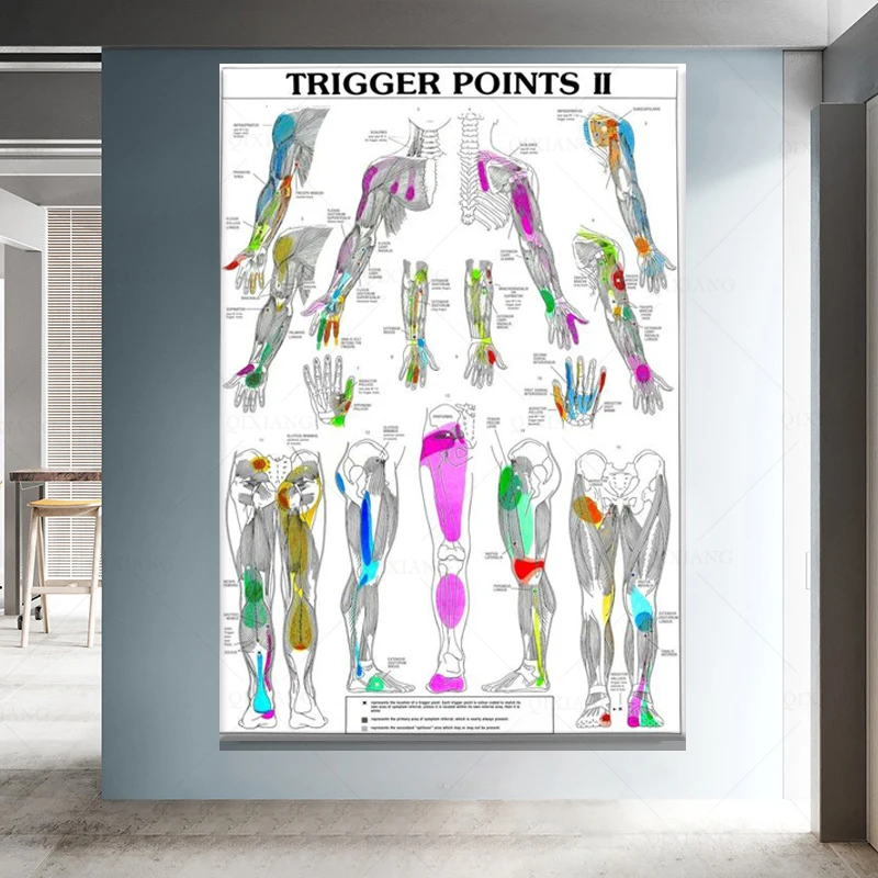 Художественные плакаты на холсте с изображением человеческого тела | Дом и сад