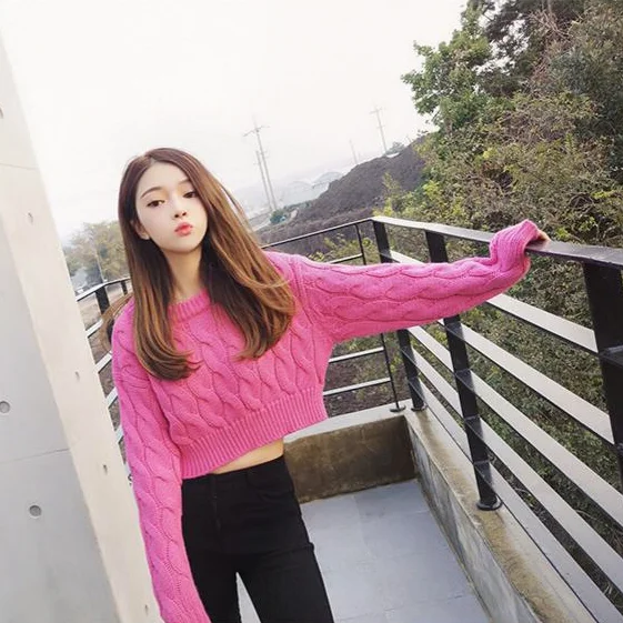 

Women Solid Casual Crop Top Sweater Knitted Loose Female Winter Autumn Girls