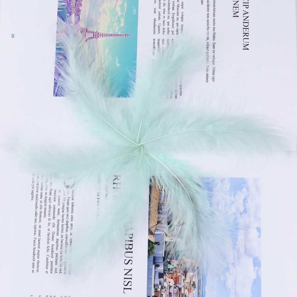 Оптовая продажа 100 шт./пакет Турция перьями пушистые мята окрашенная шлейфы