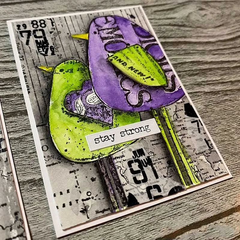 Набор прозрачных штампов с тремя птицами винтажные прозрачные штампы необычными