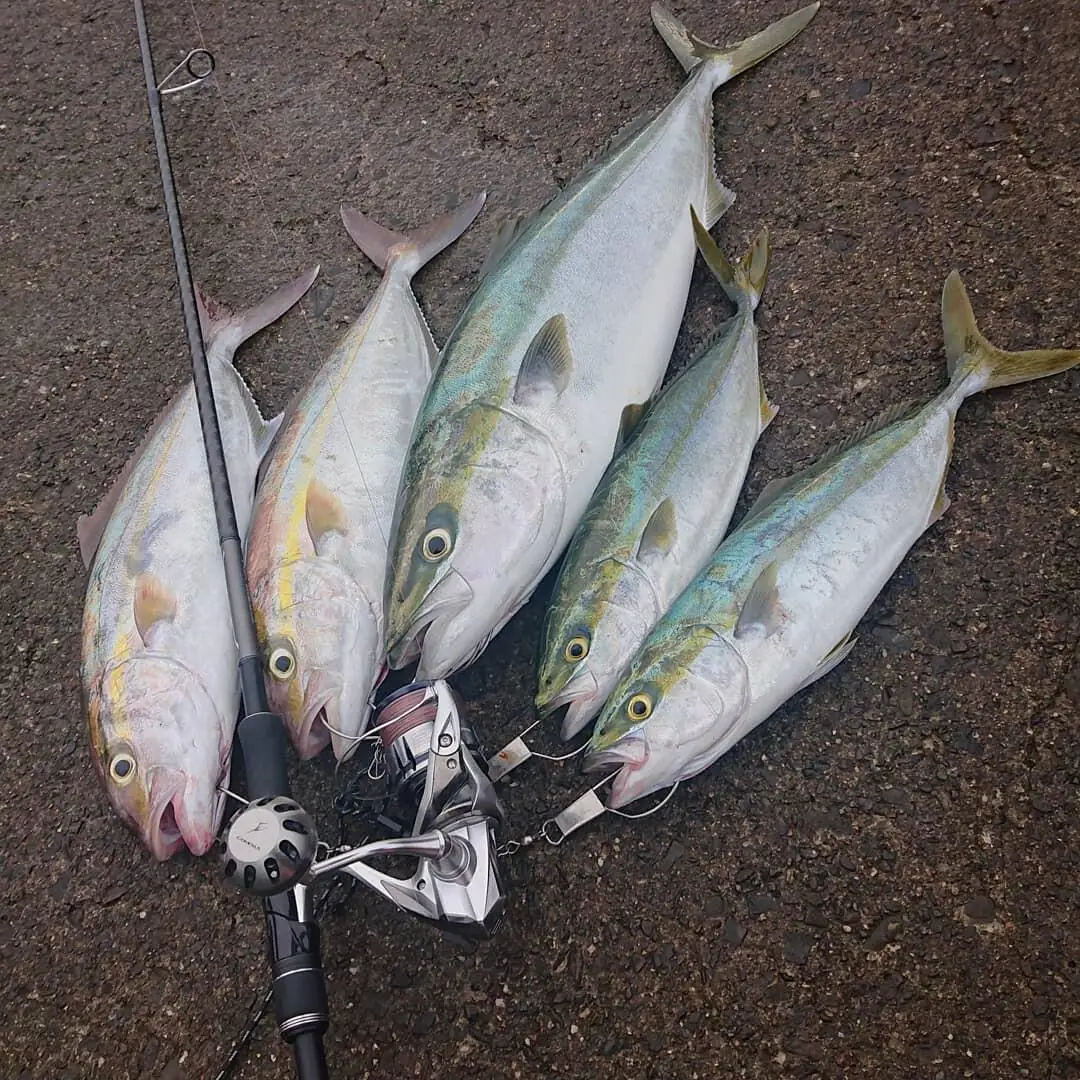 Gomexus силовая ручка 45 мм для Shimano Saragosa Stella SW Stradic FJ 4000 8000 спиннинговая Катушка Ручка