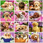 Алмазная мозаика Huacan с изображением собаки золотистого ретривера, мозаика в виде корзины с вышивкой животных, наклейки на стену с цветами