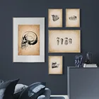 Человеческие медицинские зубы Анатомия наука винтажные плакаты искусство печатные стены фотографии медицинский врач клиника Декор