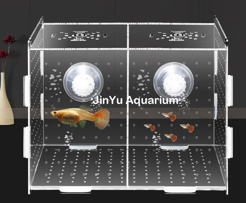 Guppy baby sick fish отдельная коробка аквариумная рыбка закрывающаяся коробка инкубатория изолированный защитный отдельный блок arcylic аквариум