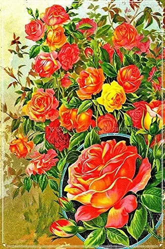 

Rose Flowers Metal Tin Sign Metal Poster Wall Decor Home Bar Garden Restaurant Wall Decor Flower Metal Tin Sign 12X16 inches