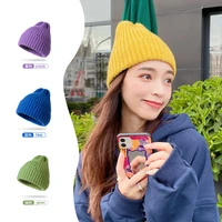 woolen hat women autumn and winter all match candy color knitted hat thick warm melon leather hat outdoor adult hat wholesale