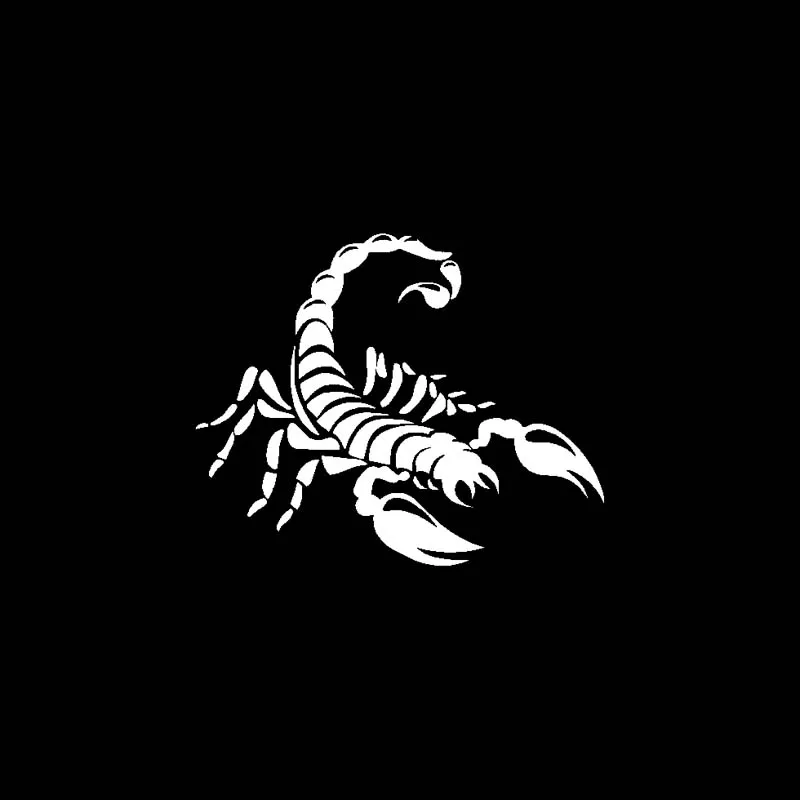 

Delicate Dazzling Predator Car Sticker Vinyl Decal Black/Silver 15.5CM*12.6CM