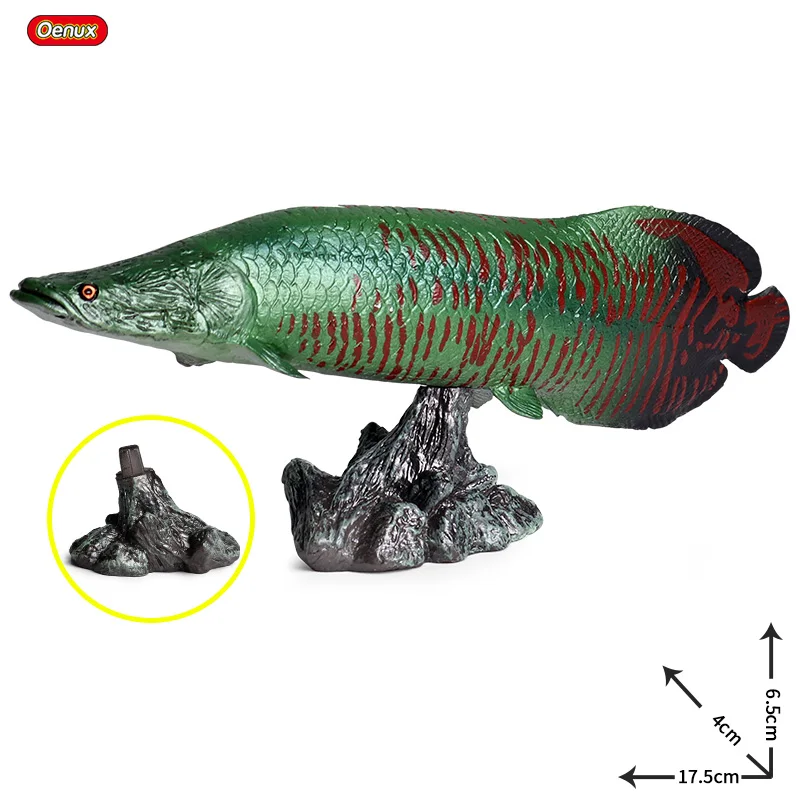 Oenux морские рыбки животные модель моделирование SeaLife Coelacanth Sailfish Фигурки ПВХ аквариум реалистичные Развивающие детские игрушки - Цвет: without box