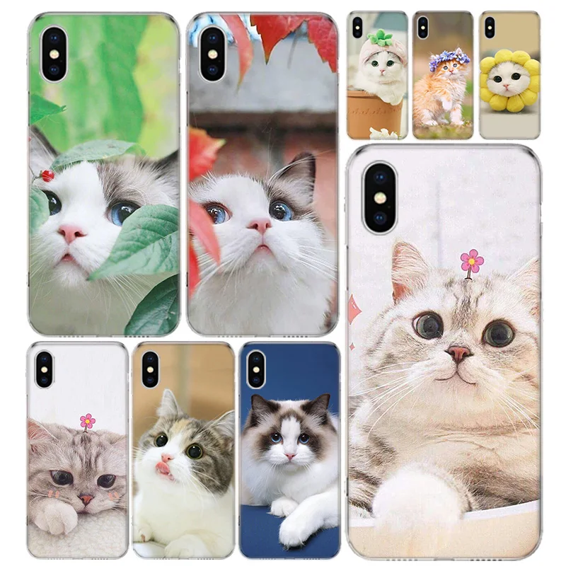 

Cute pet cats Phone Case Cover For iPhone 13 11 Pro 12 Mini 7 8 6 6S Plus + XR X XS MAX SE 5 5S Art Customized Coque Cover