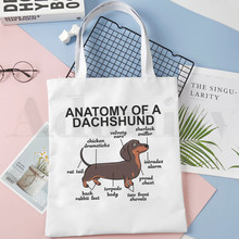 Anatomy life is better with a dachshund...