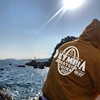 Изображение товара 4