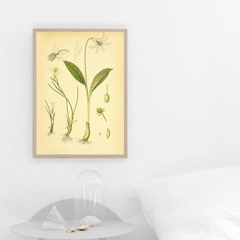 Современная Картина на холсте винтажные растительные иллюстрации цветочный