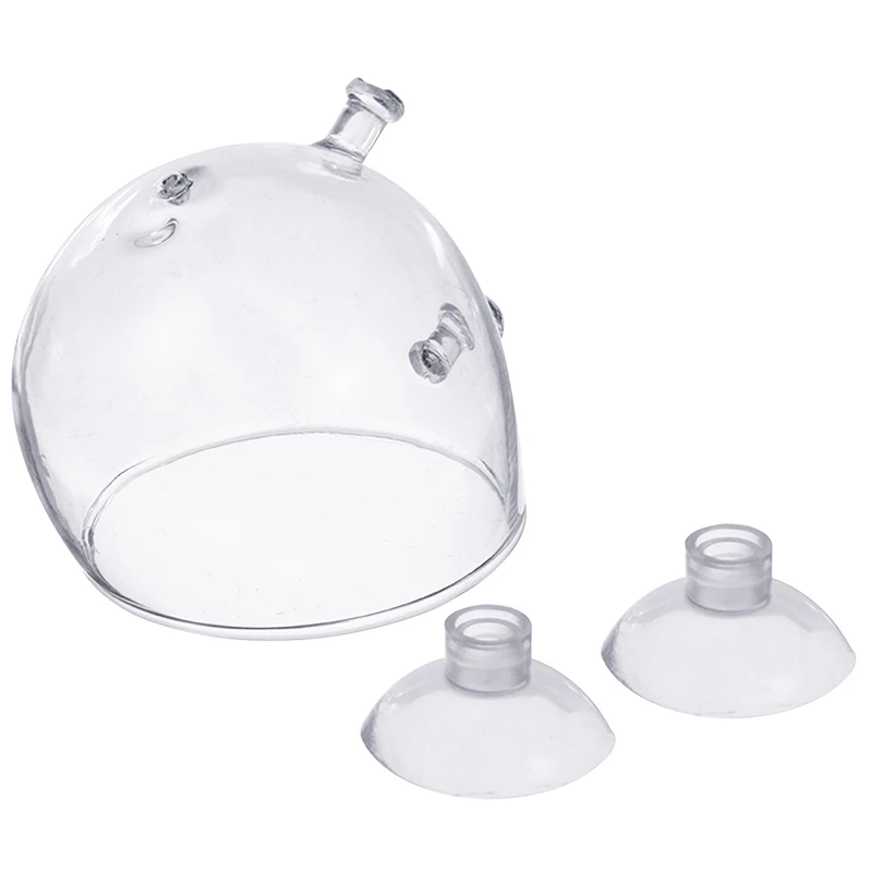 Водное растение хрустальный стеклянный горшок горшечная посадка цилиндр чашки