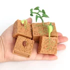 Моделирование растений животных рост цикл модели бобовое насекомое лягушка бабочка фигурка научные Развивающие игрушки для детей подарок