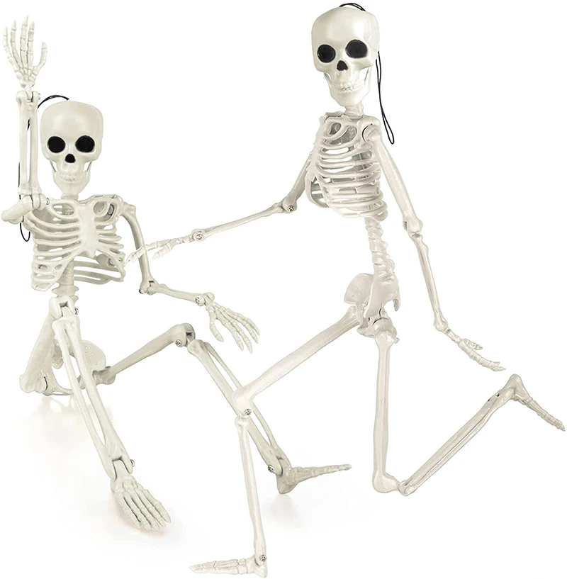 

1pc Halloween Skeleton People Active Model Anatomy Skeleton Model for Medical Study Supplies Halloween Party Desk Decoration