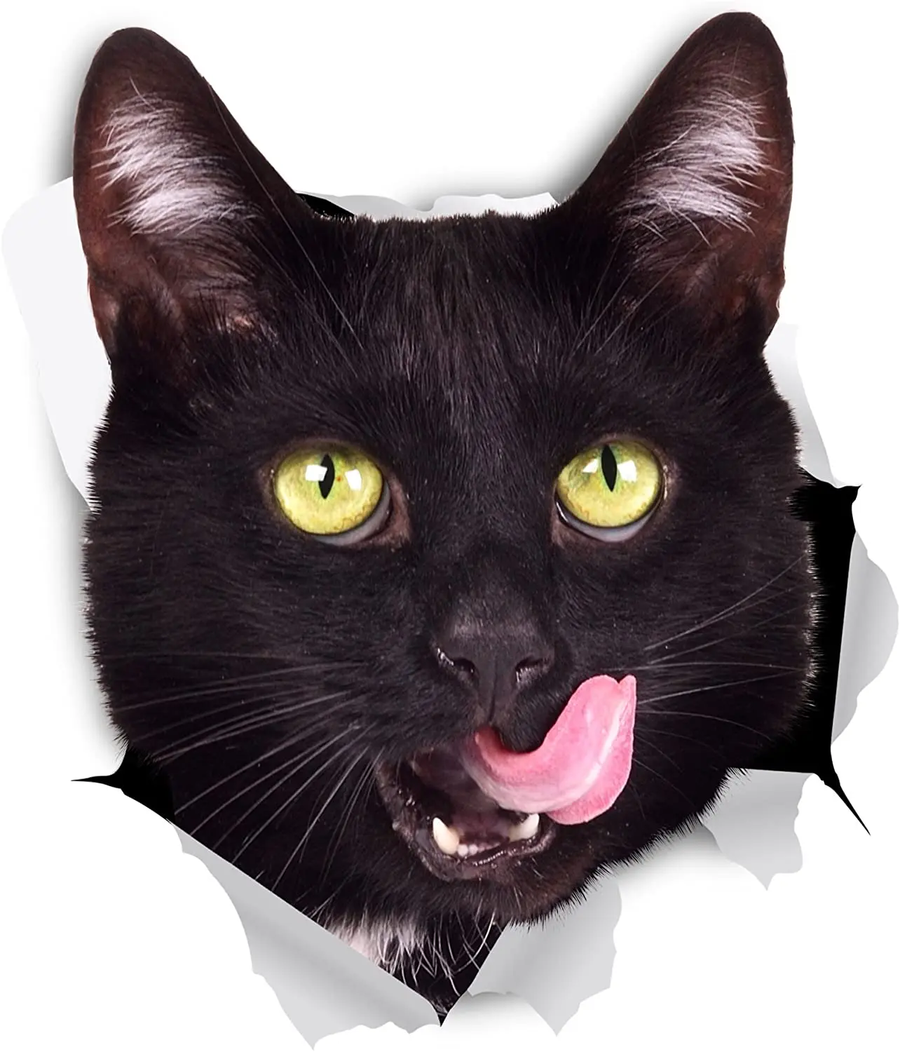 

Dawasaru Hungry Black Cat Car Sticker Decoration Waterproof Decal Laptop Suitcase Truck Motorcycle Auto Accessories PVC,12cm*9cm