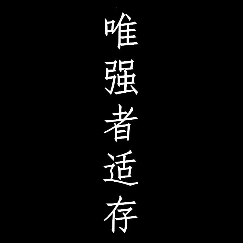 

30637# наклейки на авто Иероглиф выживает сильнейший водонепроницаемые наклейки на машину наклейка для авто автонаклейка стикер этикеты винила наклейки стайлинга автомобилей украшения на бампере автомобиля