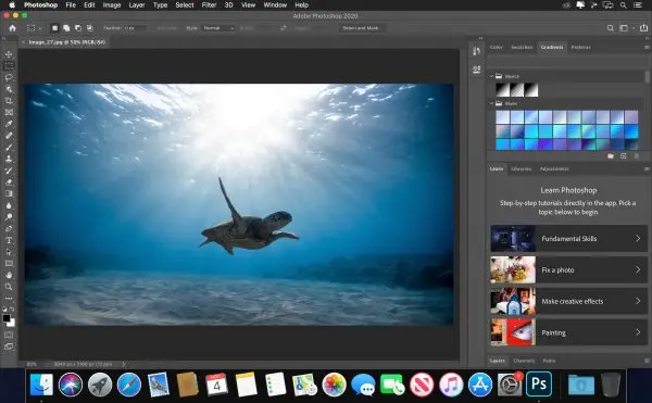 

Photoshop CC 2021 Software MacOS Timely Delivery