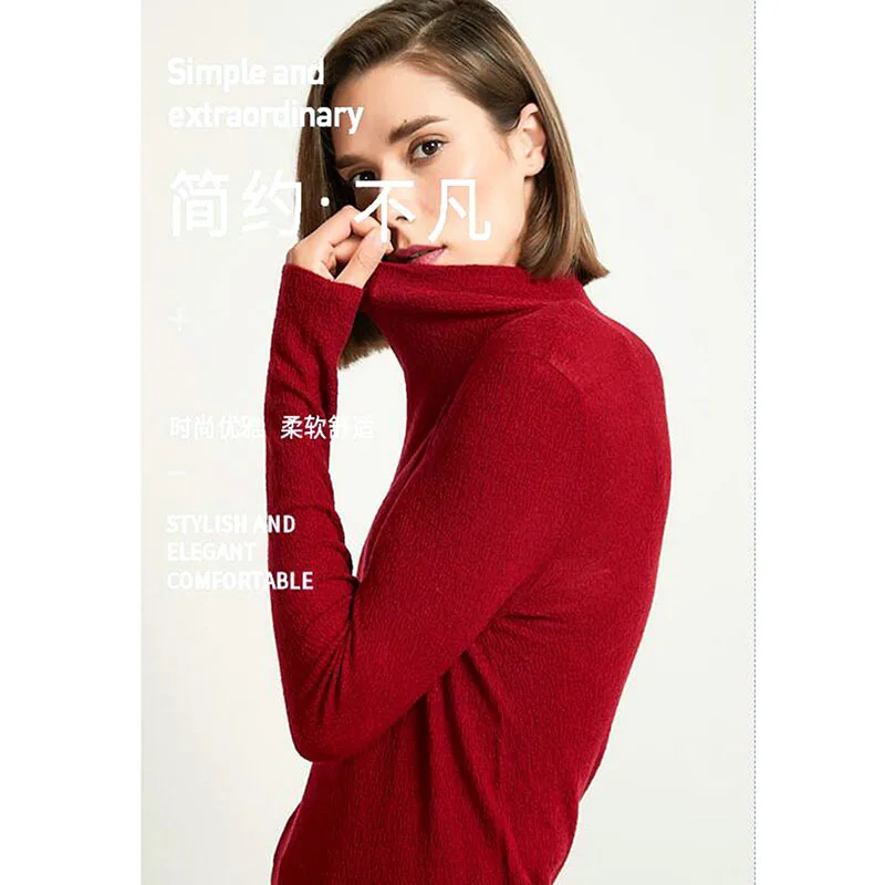 

Knitted Jumper Winter Tops Turtleneck Pullovers Casual Sweaters Women Shirt Long Sleeve Ar2059-1Pfu