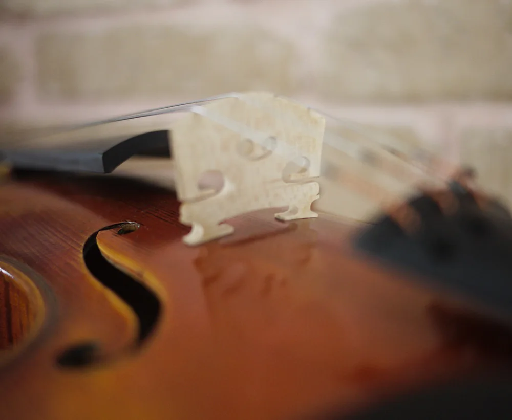Бесплатная доставка 100% ручная работа Карпатская ель Stradivarius Viotti 1709 скрипка