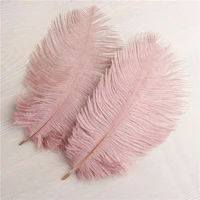 10pcslot rubber red beautiful ostrich feather 15 20cm dancers christmas carnival diy feathers for crafts